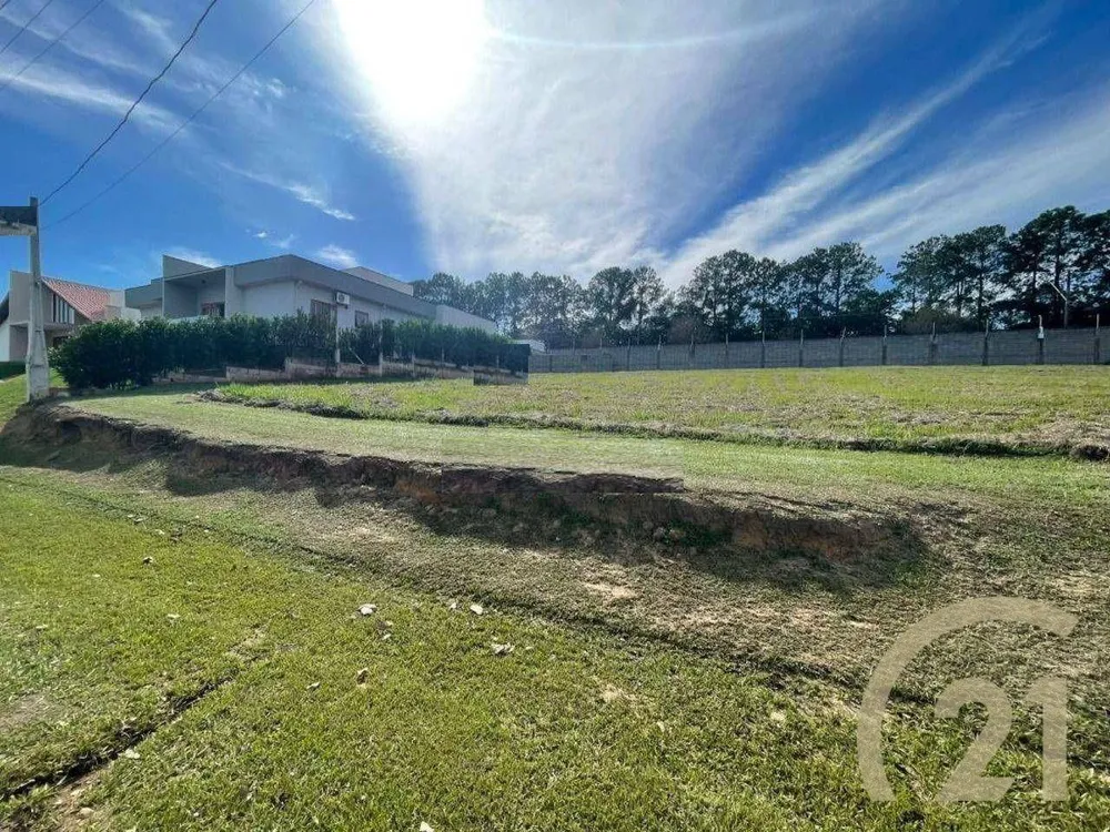 Terreno, 1039 m² - Foto 4