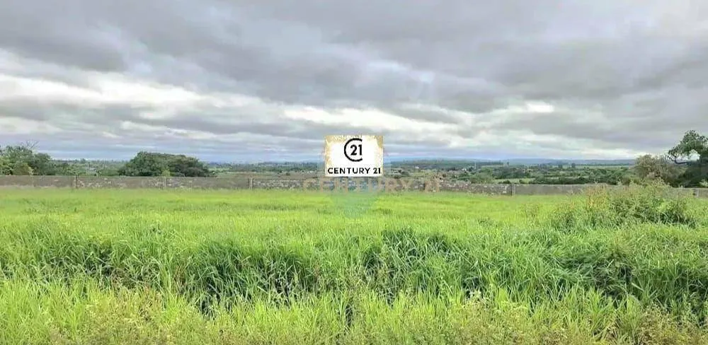 Loteamento e Condomínio, 1000 m² - Foto 6