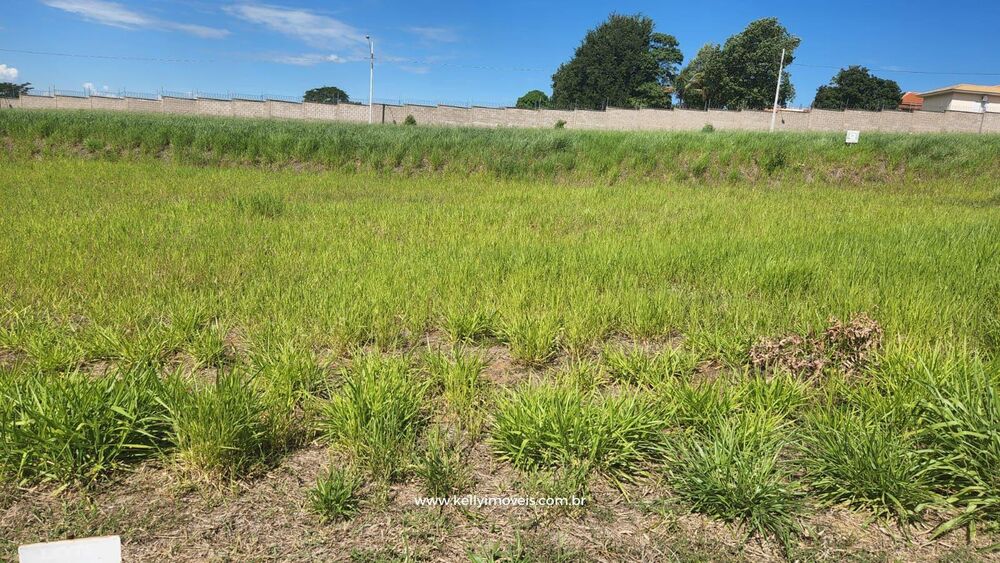 Terreno, 300 m² - Foto 3