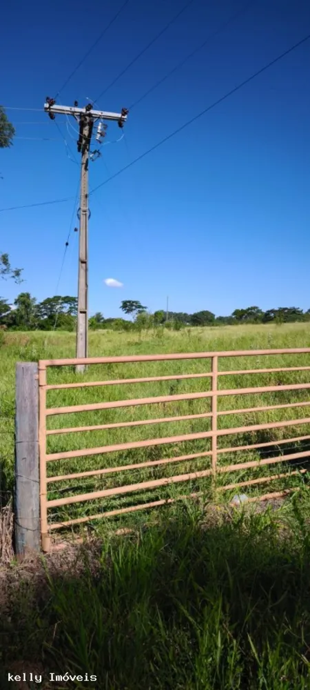 Sítio, 2 hectares - Foto 1