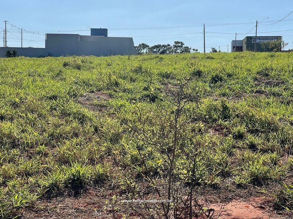 Terreno, 299 m² - Foto 3