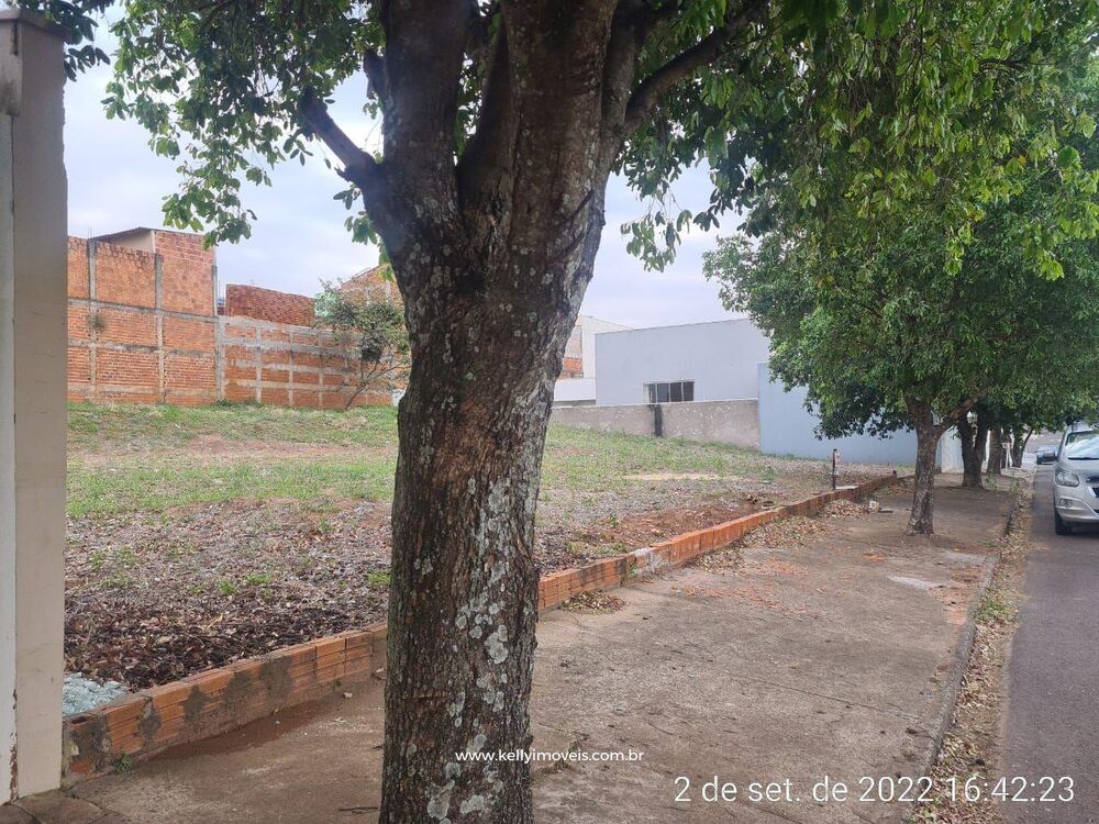 Terreno, 250 m² - Foto 5