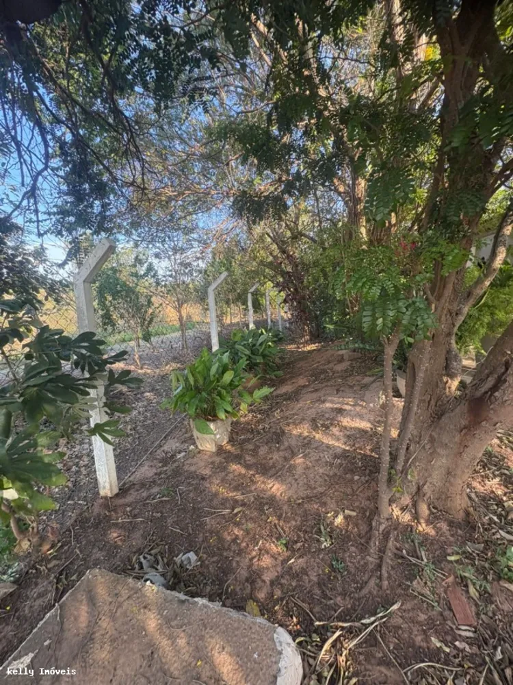 Chácara, 1 quarto, 1000 m² - Foto 2