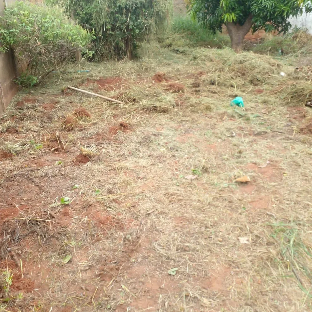 Terreno, 300 m² - Foto 5