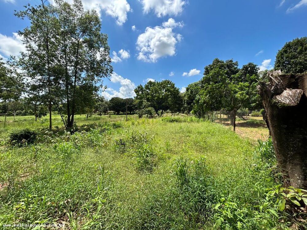 Chácara à venda, 5000m² - Foto 3