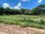 Chácara, 5000 m² - Foto 2