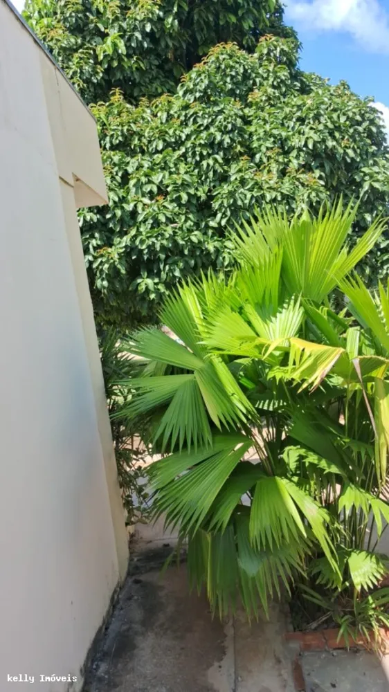 Chácara, 2 quartos, 3000 m² - Foto 2