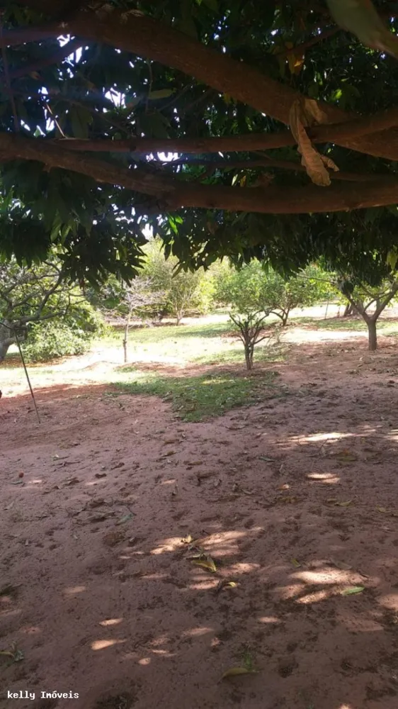 Chácara, 2 quartos, 3000 m² - Foto 6