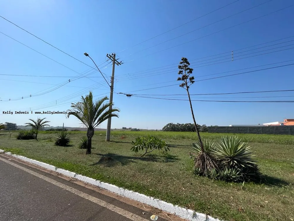 Terreno, 540 m² - Foto 7
