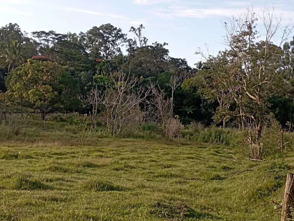 Chácara, 2 hectares - Foto 6