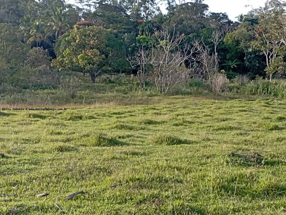 Chácara, 2 hectares - Foto 2