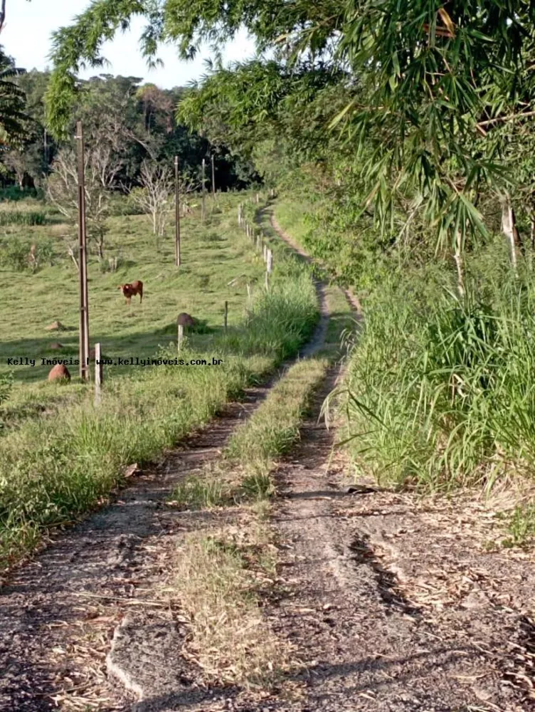 Chácara, 2 hectares - Foto 1