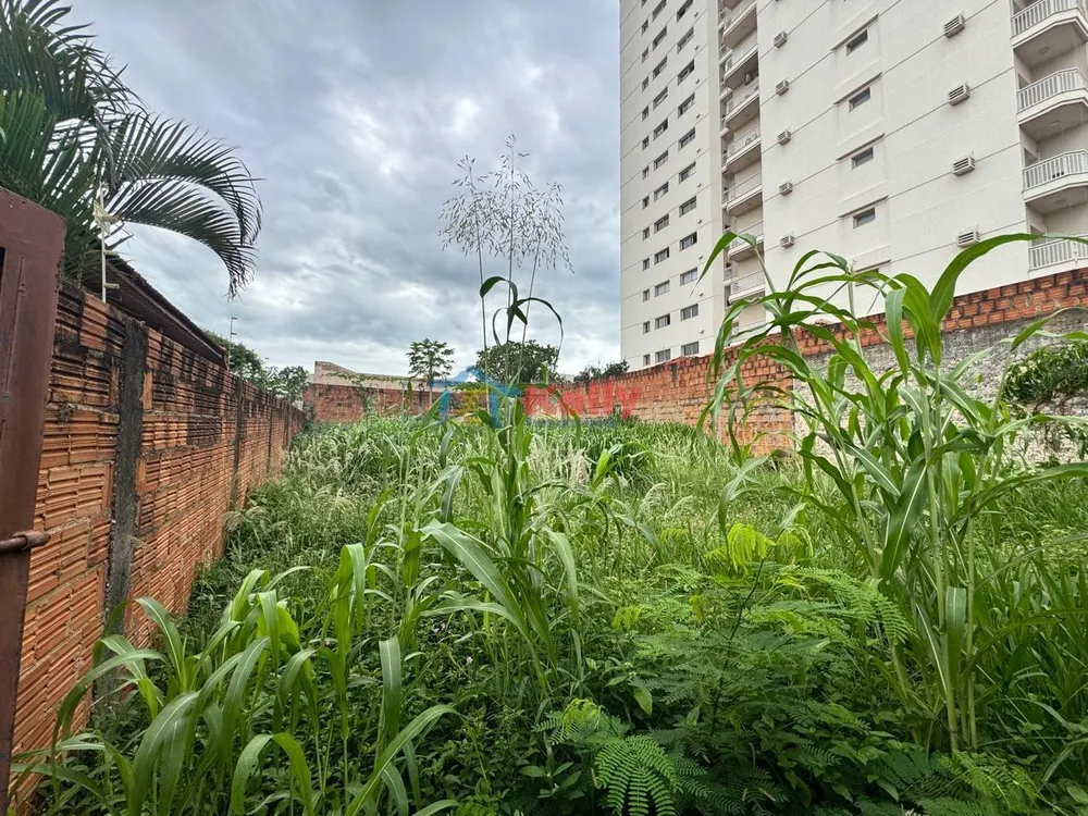 Terreno, 242 m² - Foto 3