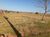 Terreno, 1000 m² - Foto 3