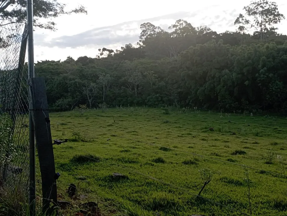 Chácara, 2 hectares - Foto 2
