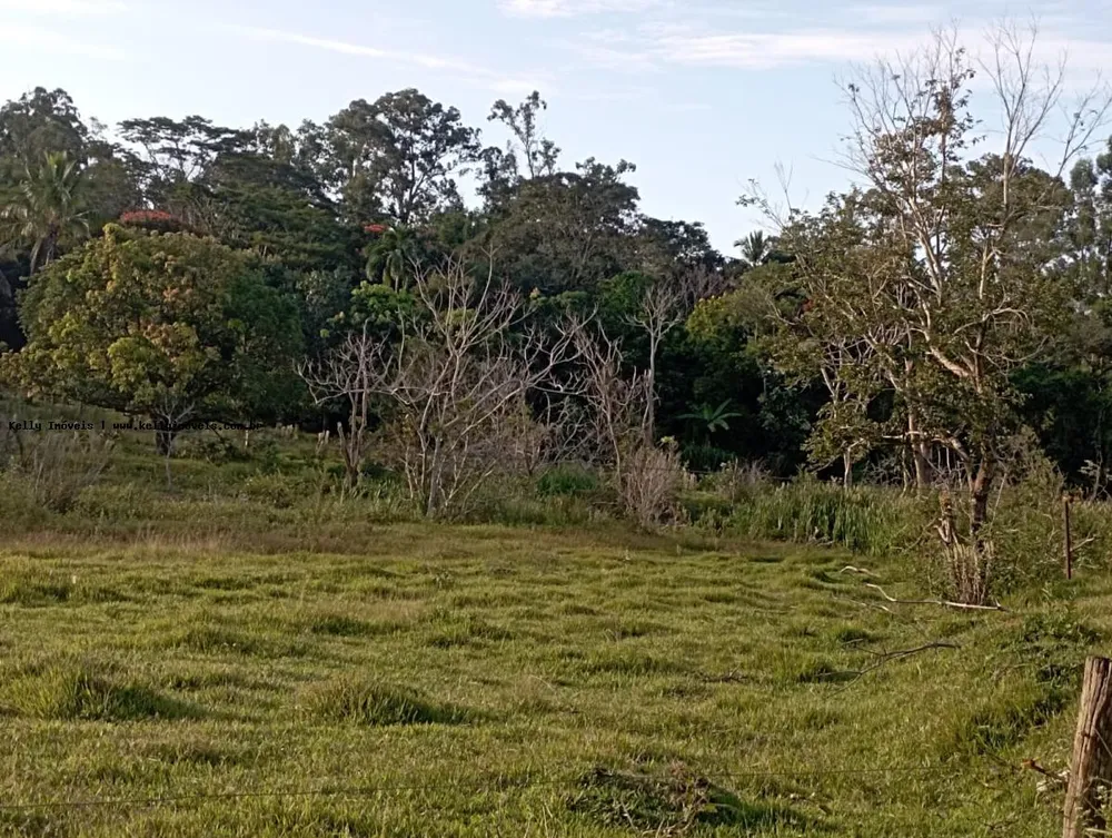 Chácara, 2 hectares - Foto 6