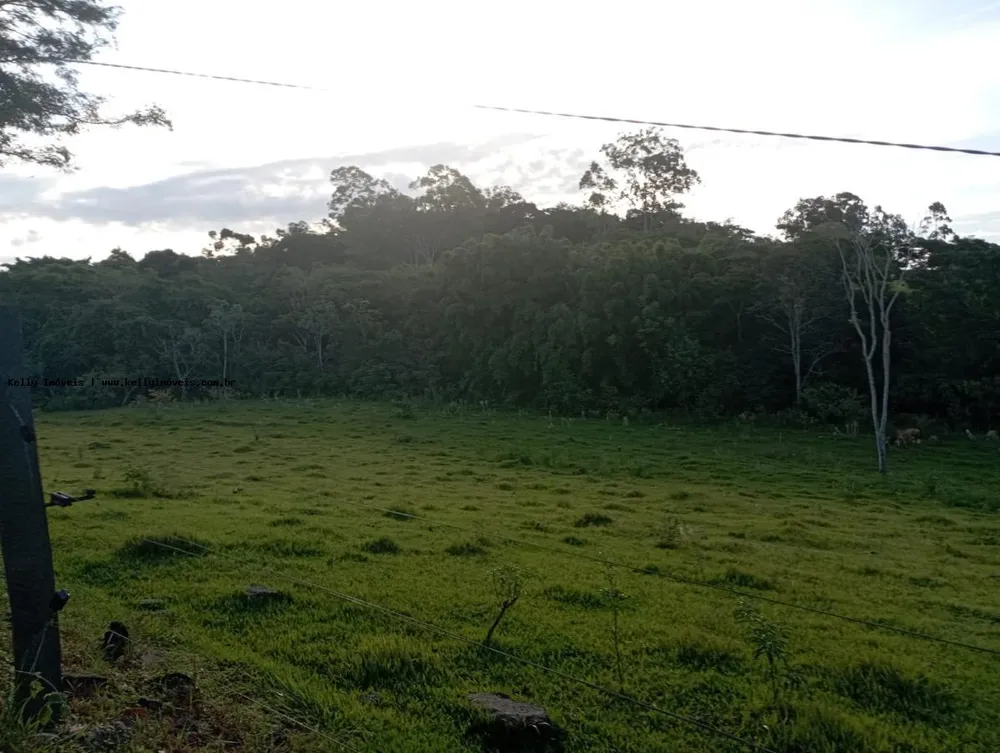 Chácara, 2 hectares - Foto 8