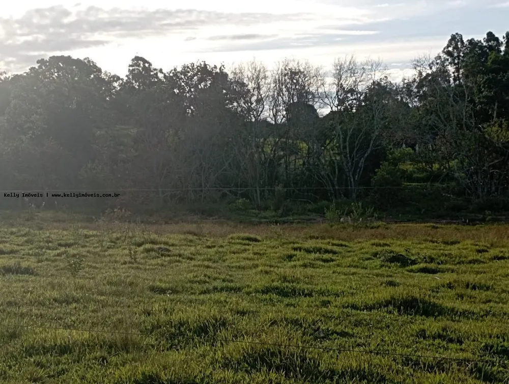 Chácara, 2 hectares - Foto 3