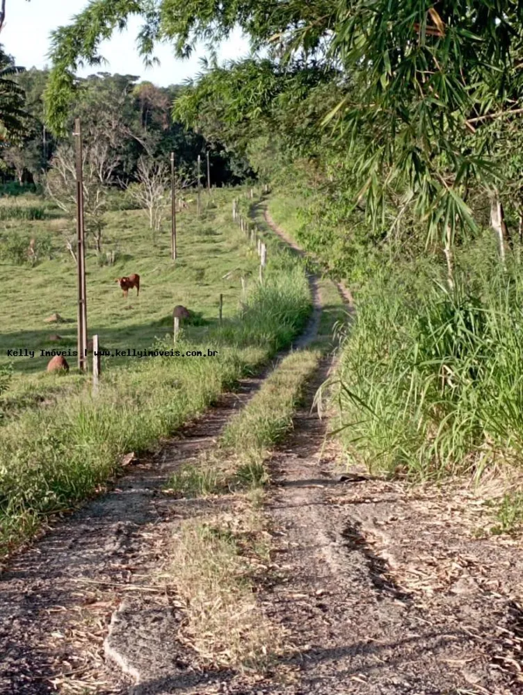 Chácara, 2 hectares - Foto 4