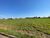 Terreno, 540 m² - Foto 1