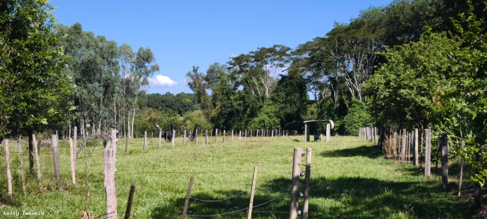 Chácara, 1 quarto, 5 hectares - Foto 2