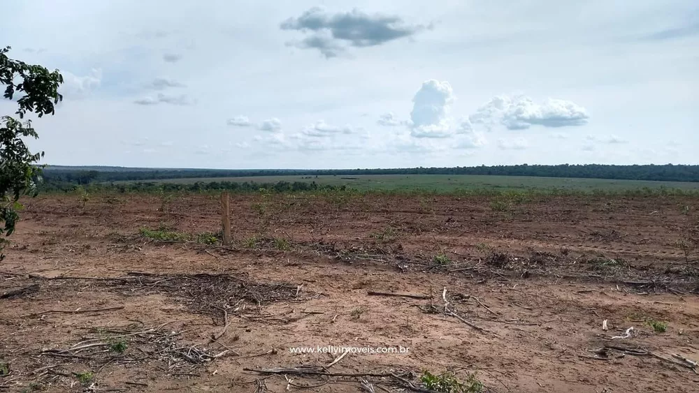 Fazenda, 715 hectares - Foto 6