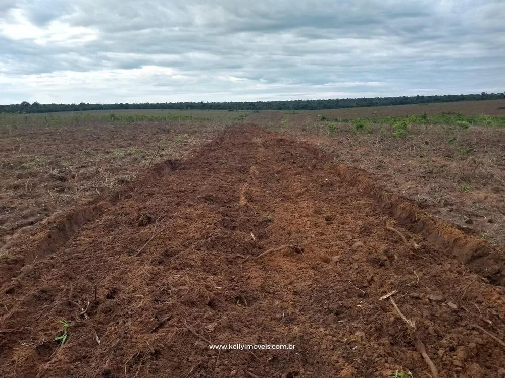 Fazenda, 715 hectares - Foto 20