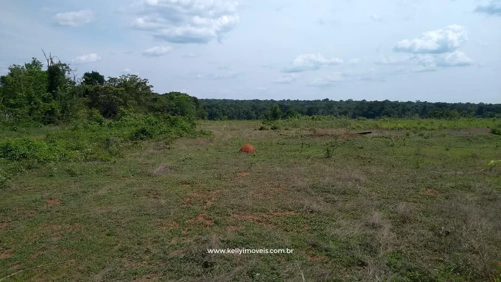 Fazenda, 715 hectares - Foto 12
