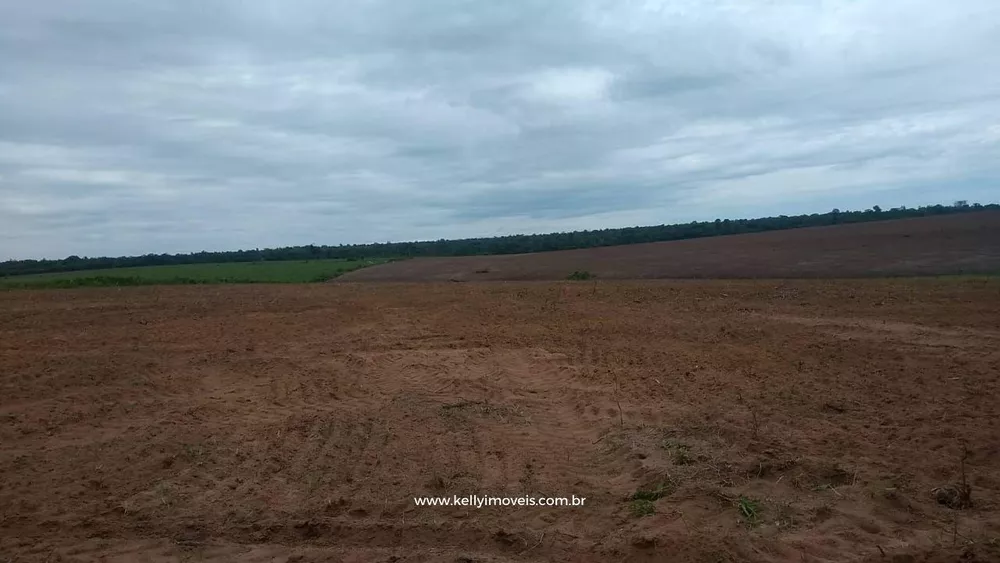 Fazenda, 715 hectares - Foto 32