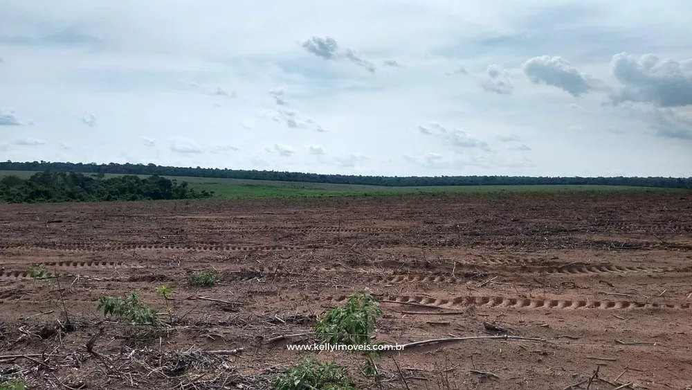 Fazenda, 715 hectares - Foto 30