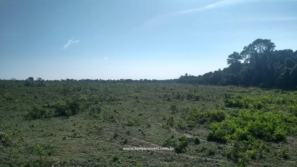 Fazenda, 715 hectares - Foto 22