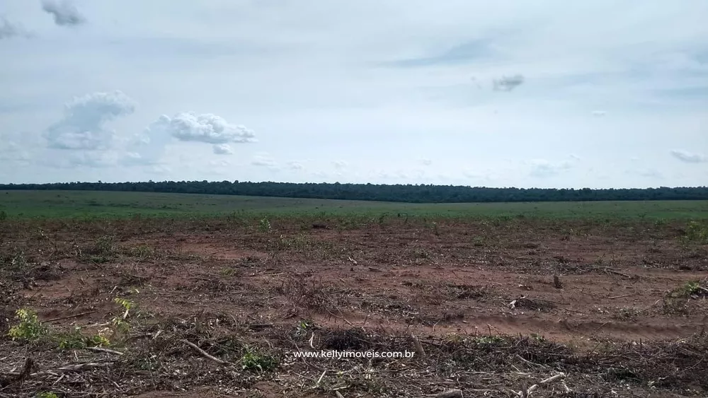 Fazenda, 715 hectares - Foto 9