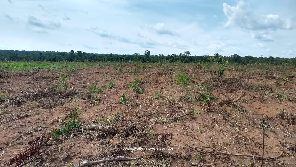 Fazenda, 715 hectares - Foto 19