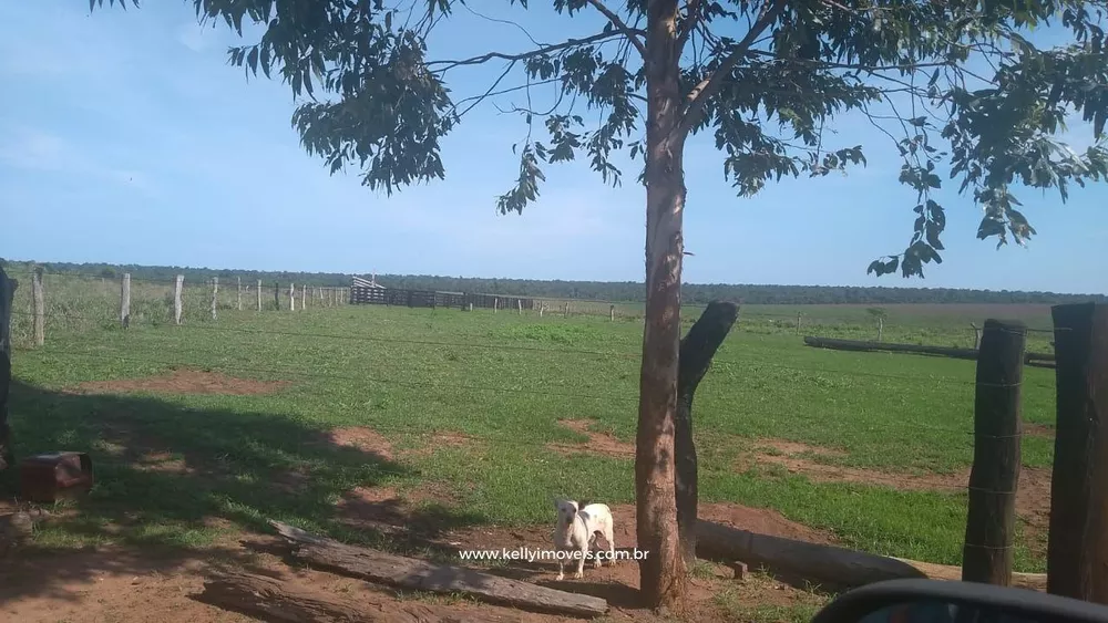 Fazenda, 715 hectares - Foto 13