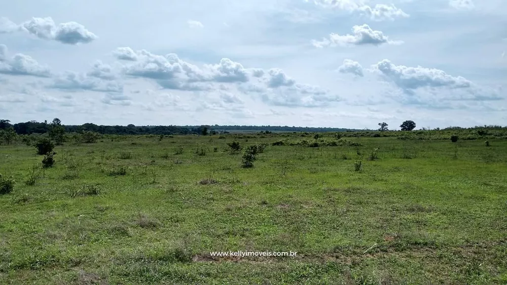 Fazenda, 715 hectares - Foto 28