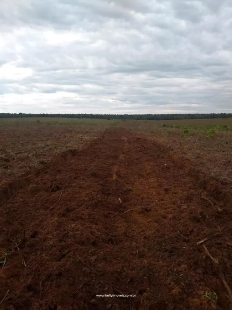 Fazenda, 715 hectares - Foto 3