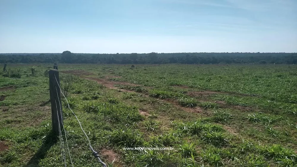 Fazenda, 715 hectares - Foto 15
