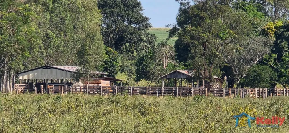 Fazenda, 97 hectares - Foto 3