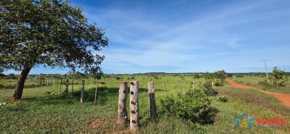 Fazenda, 97 hectares - Foto 4