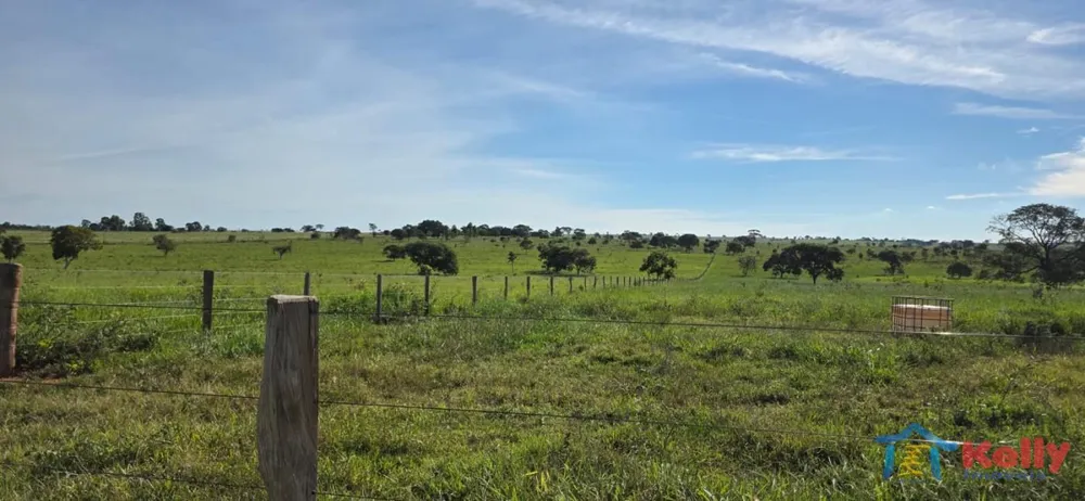 Fazenda, 97 hectares - Foto 2