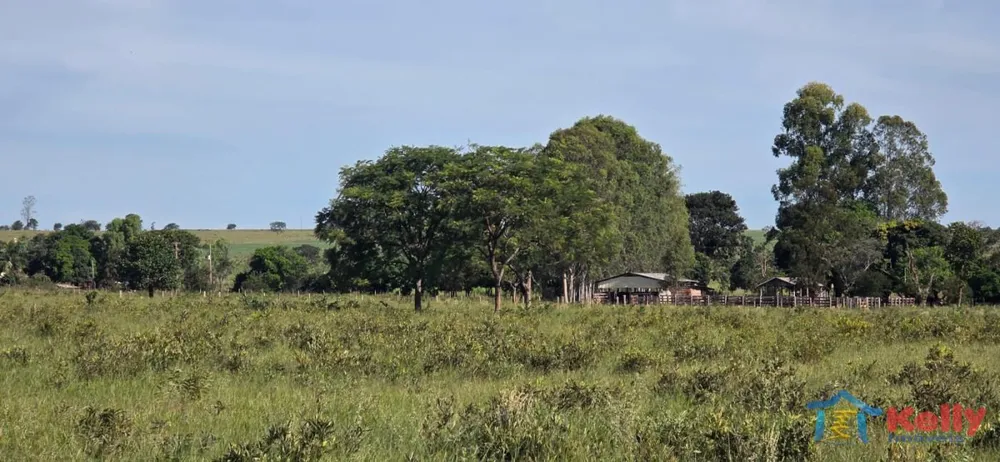 Fazenda, 97 hectares - Foto 1