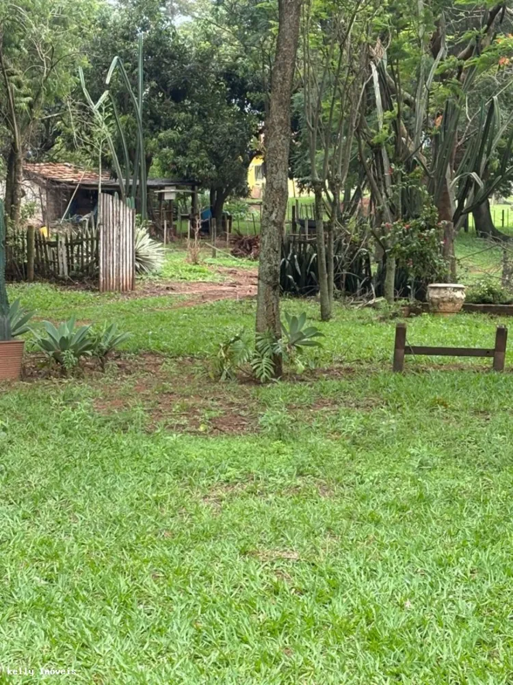 Chácara, 3 quartos, 5 hectares - Foto 1