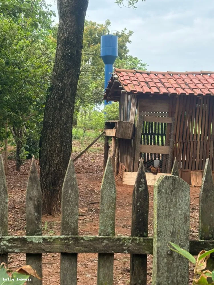 Chácara, 3 quartos, 5 hectares - Foto 4
