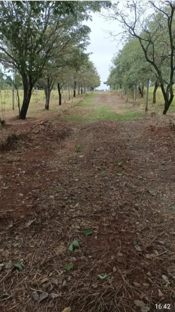 Chácara, 2 hectares - Foto 1