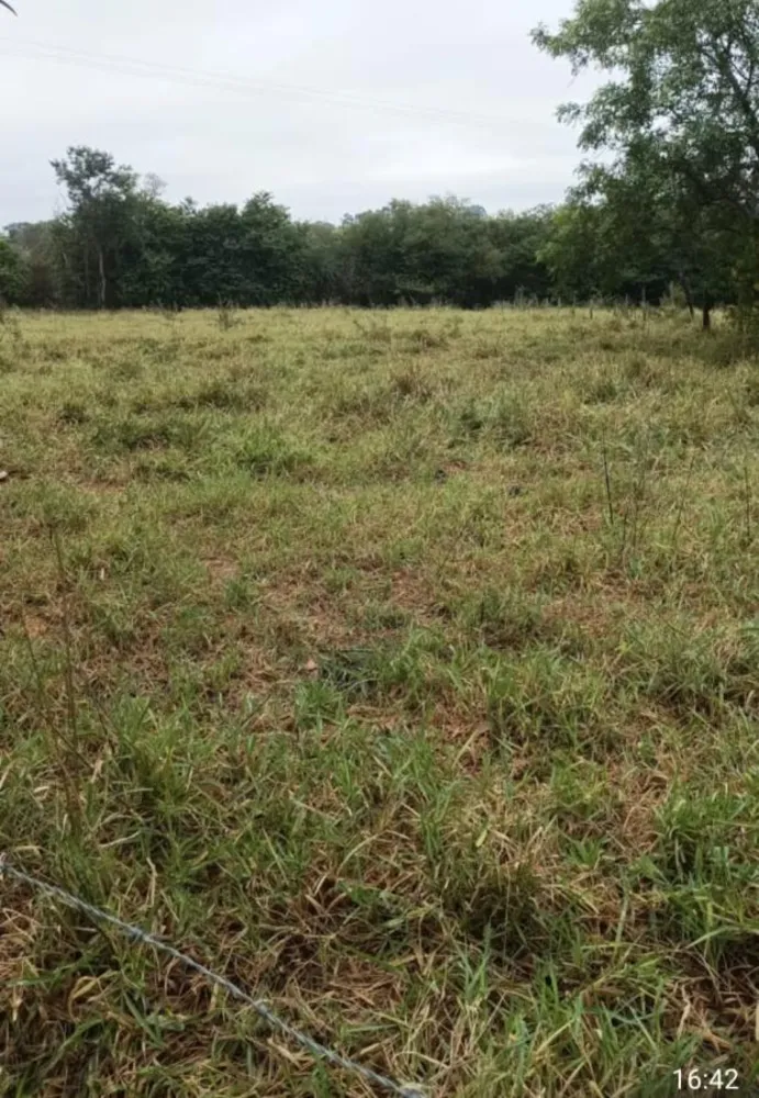 Chácara, 2 hectares - Foto 4