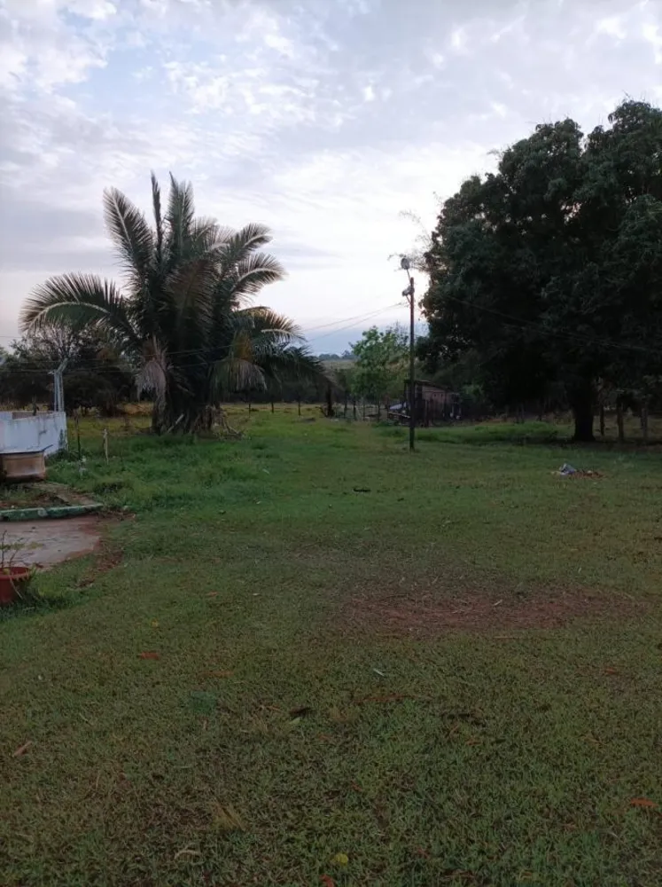 Chácara, 2 hectares - Foto 8