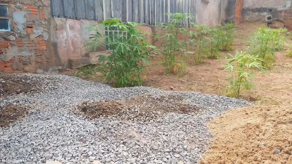 Terreno, 221 m² - Foto 4