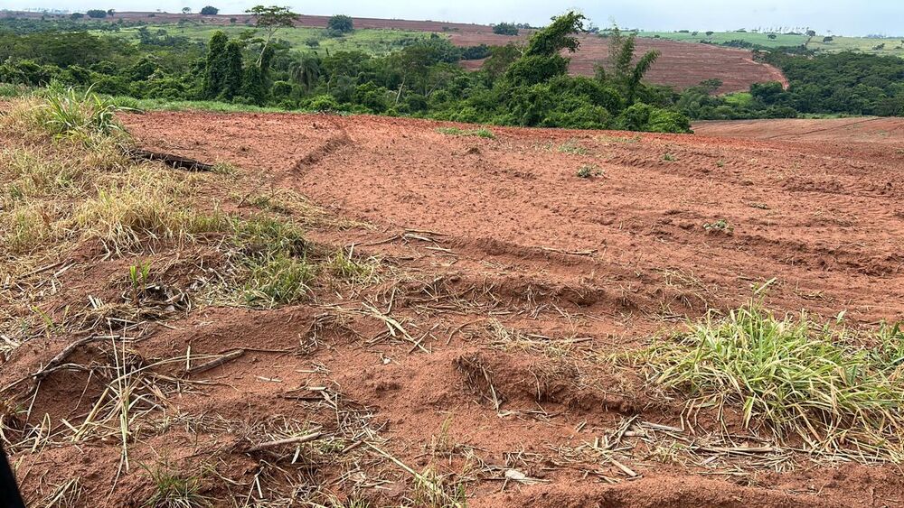 Sítio, 38 hectares - Foto 3