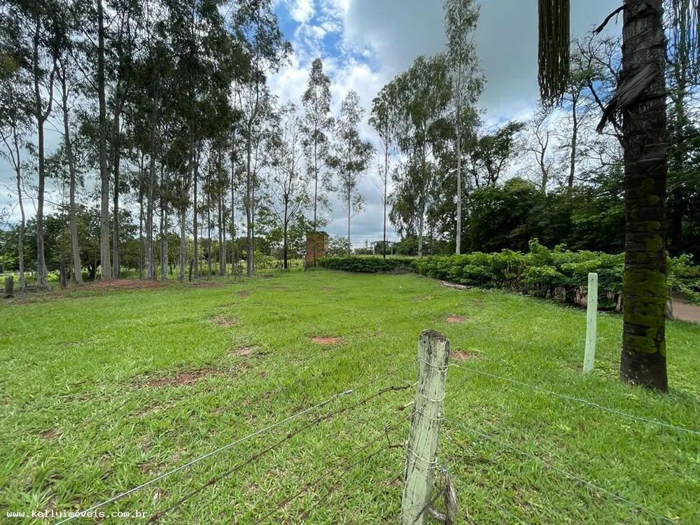 Chácara, 3000 m² - Foto 4