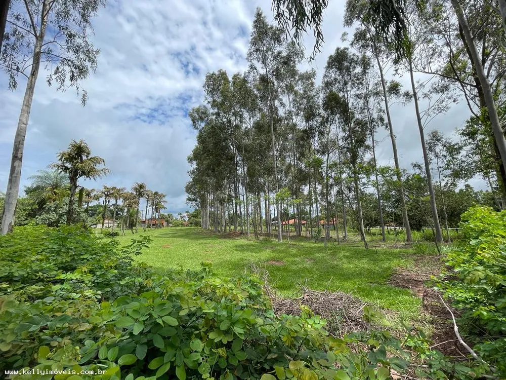 Chácara, 3000 m² - Foto 7